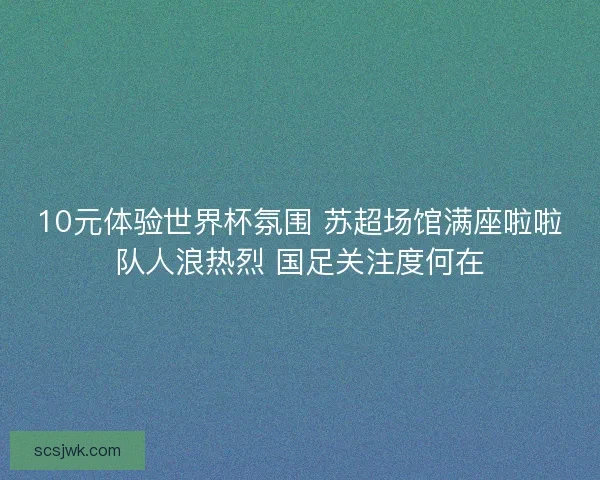 10元体验世界杯氛围 苏超场馆满座啦啦队人浪热烈 国足关注度何在